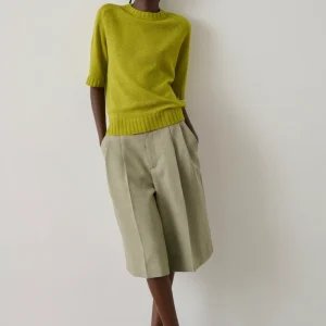 JERSEY BETINA ABSENTA