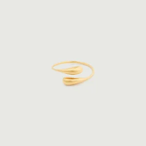ANILLO DORADO