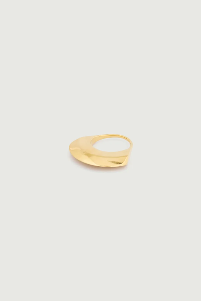 ANILLO DORADO - Imagen 3