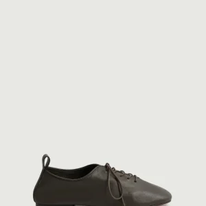 DERBIES ORSO TIERRA DE SOMBRA