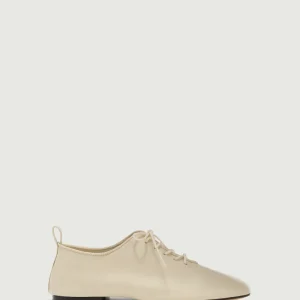 DERBIES ORSO MARFIL