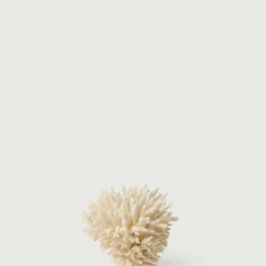 RAMA DE CORAL BLANCO BLANCO
