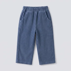 Pantalón largo pana azul